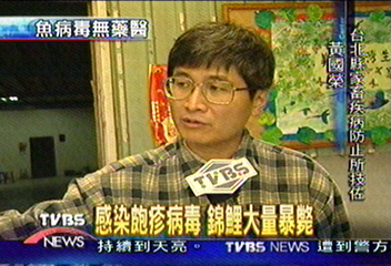 感染 疹病毒 錦鯉大量暴斃