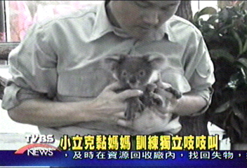 超可愛! 小立克量體重 頭好壯壯