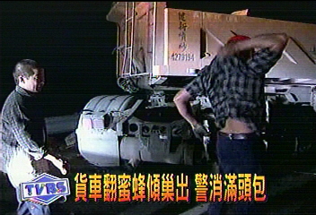 貨車翻蜜蜂傾巢出　警消滿頭包