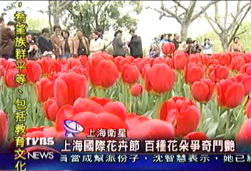 上海國際花卉節 百種花朵爭奇鬥艷
