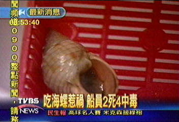 致命「織紋螺」！漁民啖美食　2死4昏迷