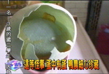 這等怪事 蛋中有蛋 鴨農細心珍藏