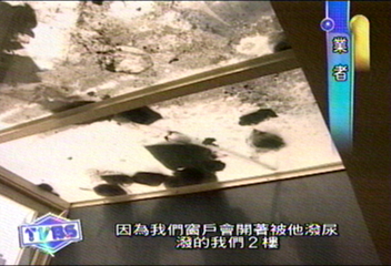 抗議紅茶店　婦人帶孝拜拜　遭起訴