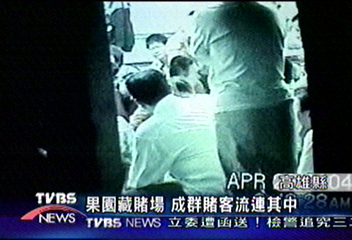 果園藏賭場　成群賭客流連其中