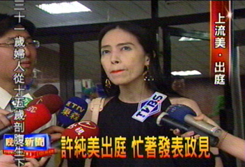 許純美出庭　忙著發表政見