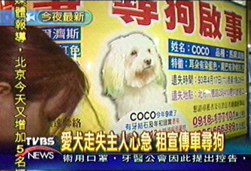 愛犬走失主人心急　租宣傳車尋狗