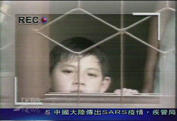 強制執行　親情拉扯　憶樺如驚弓鳥