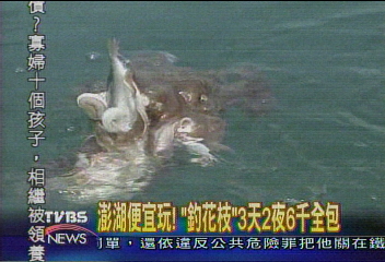 澎湖便宜玩! 「釣花枝」3天2夜6千全包