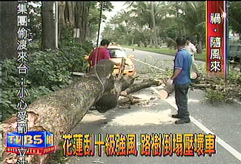 鋒面南下 花東地區颳強風沙塵暴