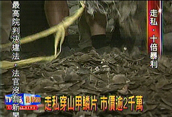 走私穿山甲鱗片 市價逾2千萬