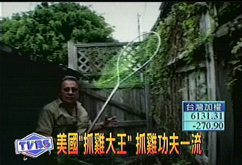 抓雞不輕鬆　高手全身都是傷
