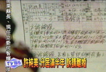 涉妨害家庭　許純美擔心影響選情