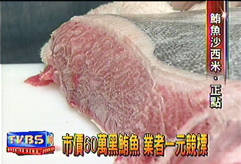 東港第2大尾黑鮪 台北現宰!