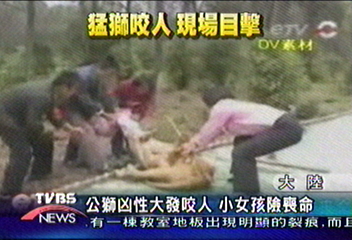 公獅凶性大發咬人 小女孩險喪命