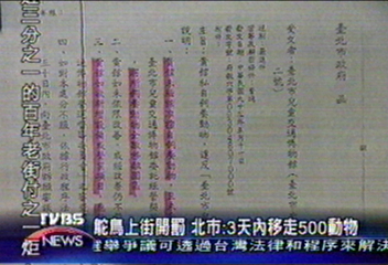 鴕鳥上街開罰　北市：3天內移走500動物