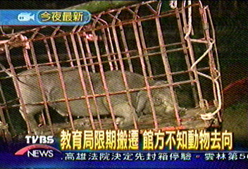 教育局限期搬遷　館方不知動物去向