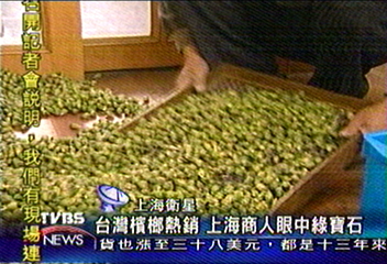 台灣檳榔熱銷 上海商人眼中綠寶石