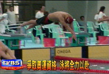 爭取奧運資格　泳將全力以赴
