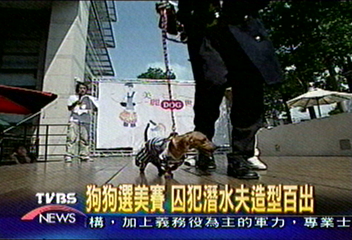 狗狗選美賽　囚犯潛水夫造型百出