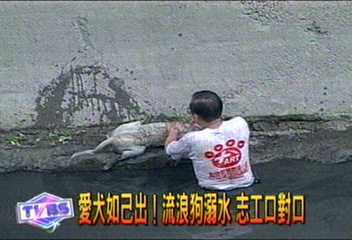 愛犬如己出!流浪狗溺水 志工口對口