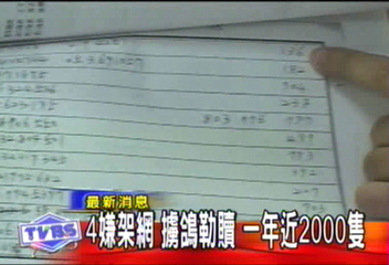 4嫌架網　擄鴿勒贖　一年近2000隻