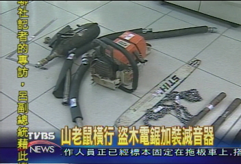 山老鼠橫行 盜木電鋸加裝滅音器