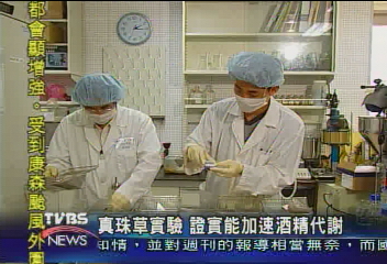 真珠草實驗 證實能加速酒精代謝
