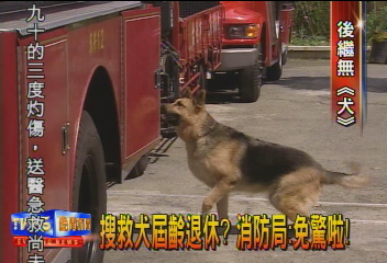 搜救犬屆齡退休？　消防局︰免驚啦！