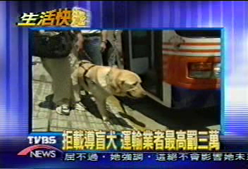 拒載導盲犬 運輸業者最高罰3萬