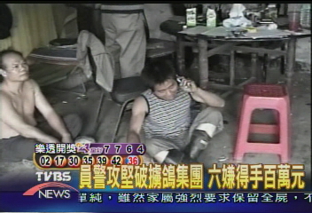 敢不給錢！擄鴿煮食　6嫌得手百萬