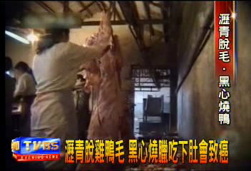 瀝青脫雞鴨毛 黑心燒臘吃下肚會致癌