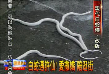 白蛇遇許仙！　愛撒嬌　陪逛街