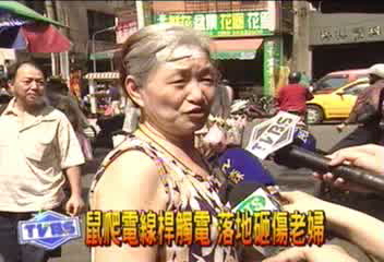 鼠爬電線桿觸電 落地砸傷老婦