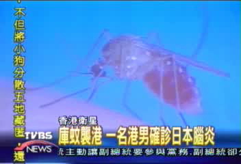 庫蚊襲港 一名港男確診日本腦炎