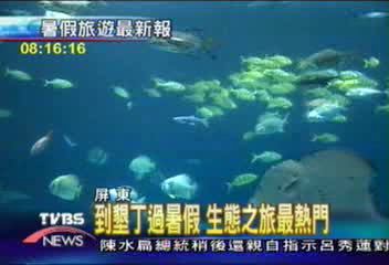 【這夏FUN輕鬆】到墾丁過暑假 生態之旅最熱門