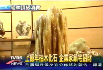 上億年柚木化石 企業家鎮宅招財