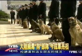 大陸緝毒「狗」部隊　今成軍亮相