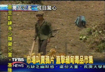 市場叫賣鴉片　直擊緬甸毒品市集