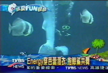 【 這夏FUN輕鬆】Energy穿芭蕾潛衣 抱鯨鯊共舞