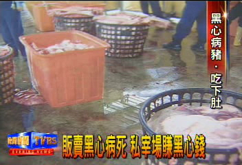 販賣黑心病死豬 私宰場賺黑心錢