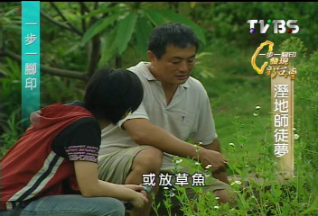 【一步一腳印】關渡平原上的 溼地師徒夢