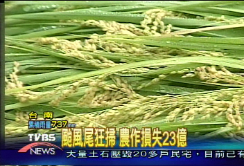 颱風尾狂掃　農作損失23億