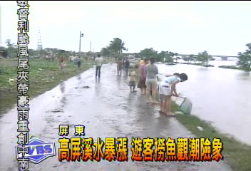 〈獨家〉高屏溪水暴漲 遊客撈魚觀潮險象
