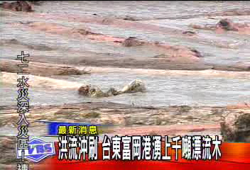 富岡漁港滿佈漂流木　漁民撈木不撈魚！