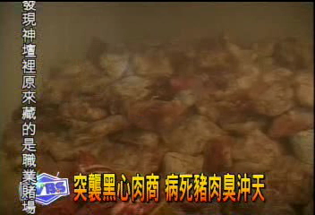 突襲黑心肉商　病死豬肉臭沖天