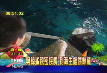 【這夏FUN輕鬆】與鯨鯊親密接觸 到海生館餵鯨鯊