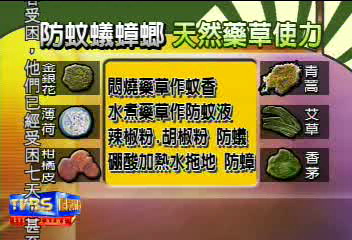 中藥悶燒防蚊 胡椒粉防蟻 硼酸加熱滅蟑