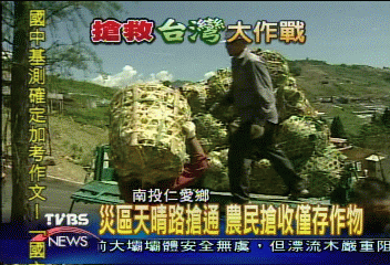 災區天晴路搶通 農民搶收僅存作物