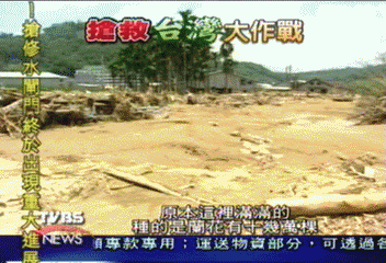 中嵙溪氾濫成災 數十萬株蘭花泡水
