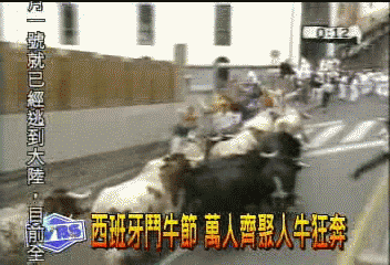 西班牙鬥牛節 萬人齊聚人牛狂奔